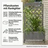 Mucola Rankgitter mit Pflanzkasten Spalier Blumenkasten Produktbild-Vorschau 12