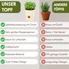 4er Set Kräutertopf Selbstbewässernd Selbstbewässerungstopf Produktbild-Vorschau 3