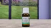 Eukalyptus-Öl, 15 ml Produktbild-Vorschau 3