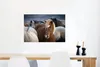 MuchoWow® Poster Nahaufnahme eines braunen Isländers Produktbild-Vorschau 5