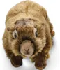 Carl Dick Marmotte couchée env. 25cm 2616 Doudou, peluche, Voir les images du produit 4