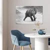 MuchoWow® Poster Elefant - Baby - Tiere - Kröte - Schwarz Produktbild-Vorschau 5