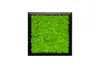 Moosbild mit echtem Islandmoos (schwarz 25x25 cm) Produktbild-Vorschau 2