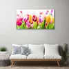 Tulup Leinwand-Bilder 100x50 Wandbild Canvas Kunstdruck Produktbild-Vorschau 3
