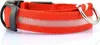 Hundehalsband Leuchthalsband Halsband für Hunde LED USB Produktbild-Vorschau 2