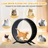 GTPLAYER Katzenlaufrad, laufrad Katze, Extra großer 100 cm, Produktbild-Vorschau 3