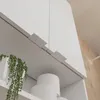 A close-up view of a white cabinet with a hanging plant and cylindrical objects on a shelf. Produktbild-Vorschau