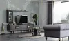 Casa Padrino Luxus Art Deco TV Schrank Grau / Schwarz / Produktbild-Vorschau 3