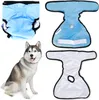A collage of dog diapers and a husky dog. Anteprima dell’immagine prodotto