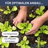 DELUKE® Garten Gewächshaus klein LINA anthrazit | Stahl | Produktbild-Vorschau 4