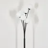 Lerici Stehlampe aus Metall/Glas in Schwarz/Weiß Produktbild-Vorschau 8