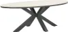 A product shot of an oval dining table with a dark gray X-shaped base and a light wood-look tabletop. Produktbild-Vorschau