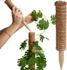 Progarden Kokos-Pflanzenstütze 30 cm – Naturstütze für Produktbild-Vorschau 1