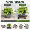Esschert Design | Pflanzwagen - 29 cm - Rustikal - Mit 3 Produktbild-Vorschau 12