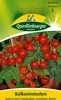 Quedlinburger Saatgut - Balkontomaten Balconi Red - Samen - Produktbild-Vorschau 3
