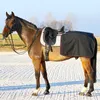 Euroriding Softshell Nierendecke Produktbild-Vorschau 2