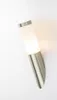 A modern, cylindrical wall lamp with a brushed metal base and a frosted glass diffuser, mounted on a white background. Anteprima dell’immagine prodotto