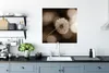 MuchoWow® Poster Sepia-Fotodruck Löwenzahn 75x75 cm - Wand Produktbild-Vorschau 3