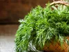 Dill Dillsamen Früh Zum Beizen 5G Produktbild-Vorschau 12