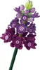 601279 - Lila Blume (Sembo) Produktbild-Vorschau 1