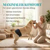 HUND IST KÖNIG Hundewindeln für Rüden [3 Stk], XXL (Taille Produktbild-Vorschau 4