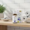 Fräulein Grün Bitter alchemistische Essenz 30 ml Produktbild-Vorschau 3
