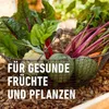 COMPO BIO Universal-Erde torffrei 7,5 l 4008398112240 214023 11224 blumenerde pflanzerde Produktbild-Vorschau