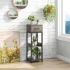 A plant stand with a drawer and shelves is placed next to a painting and a window, with plants on it and hanging. Produktbild-Vorschau