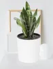 Vaso da giardino bianco, 19 cm, vaso rotondo con inserto Anteprima dell’immagine prodotto 3