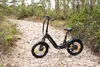 48V 15Ah E-Bike Softtail-Federung 7-Gang Getriebe 20 *4.0" Produktbild-Vorschau 6