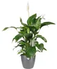 Blumentopf Elho Brussels Kunststoff Ø 14 cm H 12 cm Produktbild-Vorschau 2