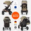 Daliya® Rapidy Buggy / Kinderwagen 0-36 Monate / Sportwagen Produktbild-Vorschau 2