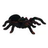 Obrovský pavúk na diaľkové ovládanie Tarantula s diaľkovým Náhľad obrázku produktu 4