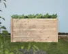 A wooden raised garden bed filled with leafy green plants, situated outdoors against a light blue wall. Náhled obrázku produktu