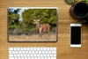MuchoWow® Laptop Aufkleber Sticker Cover Tiere - Hirsche - Produktbild-Vorschau 2