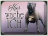 vianmo Blechschild 30x40 cm Hund Pit Bull Terrier hier Produktbild-Vorschau 1