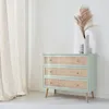 A mint green dresser with rattan drawer fronts and wooden legs, placed against a white wall with a sheer curtain to the left. Decorative dried grass and vases are on top of the dresser. Anteprima dell’immagine prodotto