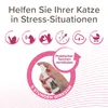 Beaphar CatComfort® Wohlfühl-Spray, 30ml Produktbild-Vorschau 3