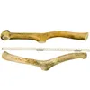 RF-Deer 1kg(40-50cm/1-3 Stück) natürliches Hirschgeweih, Produktbild-Vorschau 3