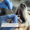 Zahnreiniger mit um 45 Grad gedrehter Spitze aus rostfreiem Produktbild-Vorschau 3