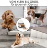 123... Hund dabei! - Kaurollen XXL 50er Tray Produktbild-Vorschau 5
