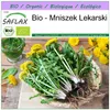 SAFLAX - Bio - Mniszek Lekarski - 400 Nasiona - Taraxacum Podgląd zdjęcia produktu 10