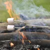 Kampeerfles, worstvork, telescopische vork, inklapbare Productafbeelding-voorbeeld 11