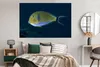 MuchoWow® Poster Fisch - Indonesien - Wasser 180x120 cm - Produktbild-Vorschau 4