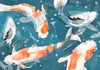 Vlies Fototapete - Koi Fishes - Second Variant 100x70 cm Produktbild-Vorschau 5