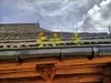 Protektor Laubschutz 30 m Dachrinnenschutz Laubfangstreifen Produktbild-Vorschau 14