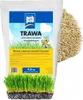 Rasensamen Universal PSB 4,5kg Produktbild-Vorschau 1