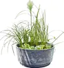 Solar Wassergarten AQUATOPIA inkl. Wasserspielpumpe - Produktbild-Vorschau 1