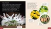Meine große Tierbibliothek: Das Kaninchen Produktbild-Vorschau 6