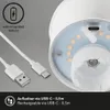 Lampada a batteria a LED, rame opaco, modulo LED/2,6W Anteprima dell’immagine prodotto 4